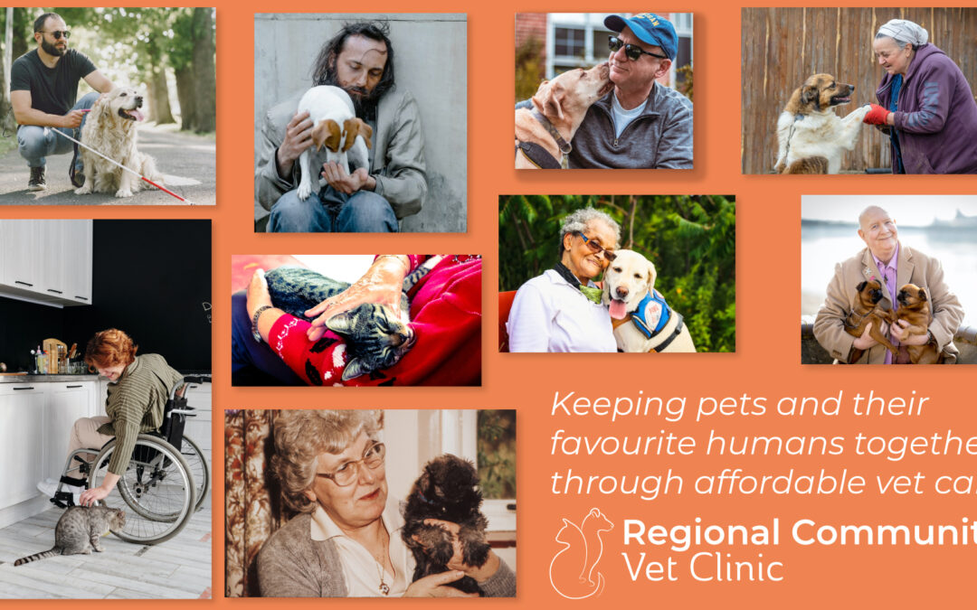 Regional Community Vet Clinic launches $200,000 mycause fundraising campaign to construct non-profit veterinary facility in Mt Alexander Shire